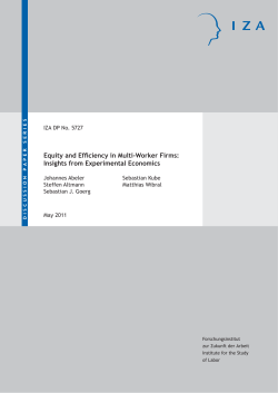 Equity and Efficiency in Multi-Worker Firms: Insights from