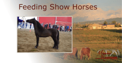 PDF Slides - Miniature Horsemanship