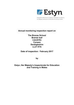 Monitoring report The Branas School 2017