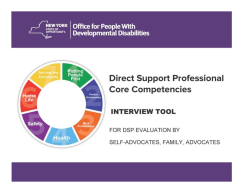 DSP Evaluation Interview Tool