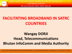 Issues on telecommunications Sector Presenter - Asia