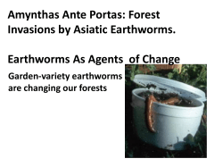 Amynthas Ante Portas: Forest Invasions by Asiatic Earthworms