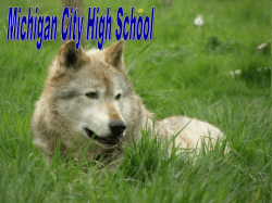 take one good volleyball team