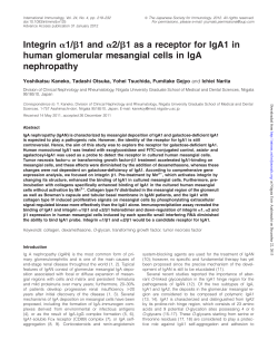 Integrin a1/b1 and a2/b1 as a receptor for IgA1 in human glomerular