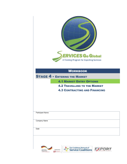 Market Entry Options