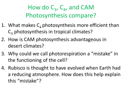 How do C3, C4, and CAM Photosynthesis compare?