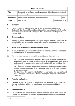 Comments of the Sustainable Development Select Committee on