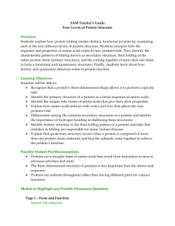 SAM Teachers Guide - RI
