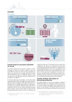 10% 9% stable - United Nations Office on Drugs and Crime