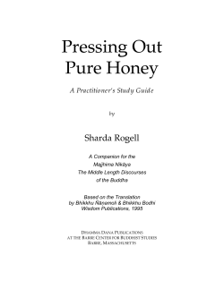 Pressing Out Pure Honey