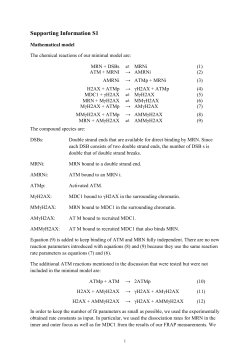 Spatiotemporal Dynamics of Early DNA Damage Response
