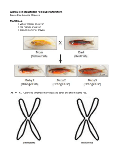 GloFish colors and chromosomes