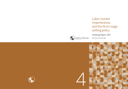 Labor market imperfections and the firm`s wage