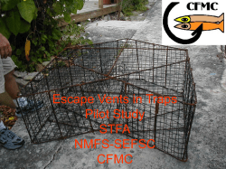 Escape Vents in traps Pilot Study STFA