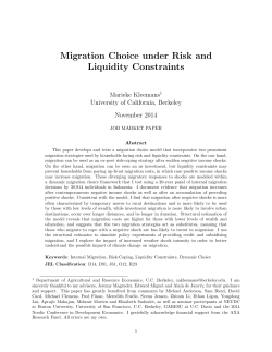 Migration Choice under Risk and Liquidity Constraints