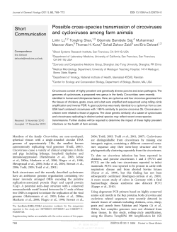 Possible cross-species transmission of circoviruses and