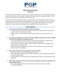 Market Design Principles - The Public Generating Pool