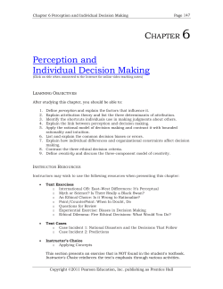 Perception and Individual Decision Making