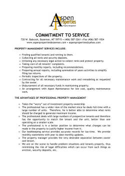 blank management agreement