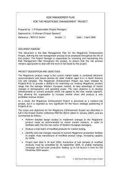 risk management plan for project xyz