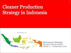 Cleaner Production Strategy in Indonesia