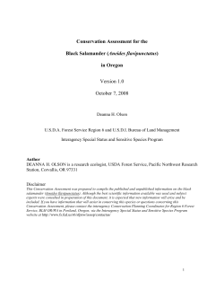 Aneides flavipunctatus