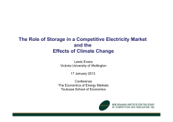 The Role of Storage in a Competitive Electricity Market