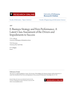 E-Business Strategy and Firm Performance: A