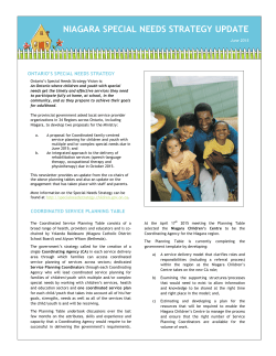 niagara special needs strategy update