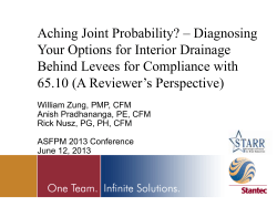Aching Joint Probability? &ndash; Diagnosing Your Options for Interior