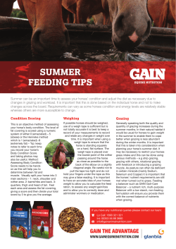 Summer Feeding Tips - GAIN Equine Nutrition