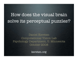 How does the visual brain solve its perceptual puzzles?