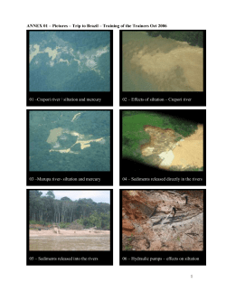 ANNEX 01 &ndash; Pictures &ndash; Trip to Brazil &ndash; June 2006