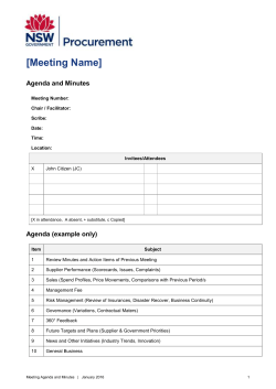 Supplier Meeting Agenda and Minutes
