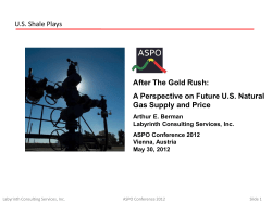 US Shale Plays After The Gold Rush: A Perspective on