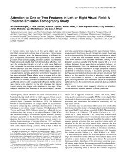 Attention to One or Two Features in Left or Right Visual Field: A