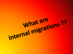 Internal migration