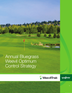 Annual Bluegrass Weevil Optimum Control Strategy