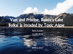 Sara Linder - Leah Brooks