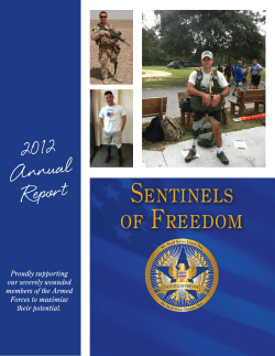 2012 Annual Report - Sentinels of Freedom