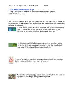 Practice exam (2014)