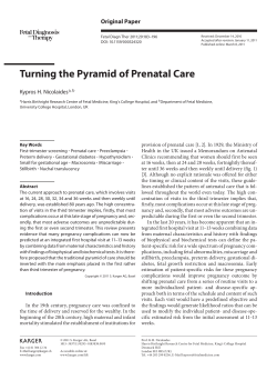 Turning the Pyramid of Prenatal Care - PERINAT-ARS-IDF