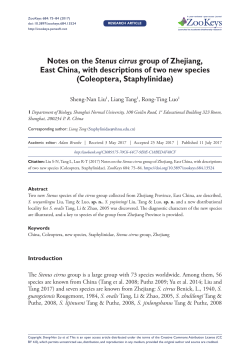 Notes on the Stenus cirrus group of Zhejiang, East China