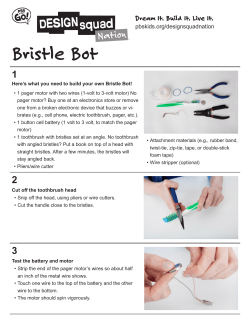 Bristle Bot