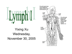 Lymph I