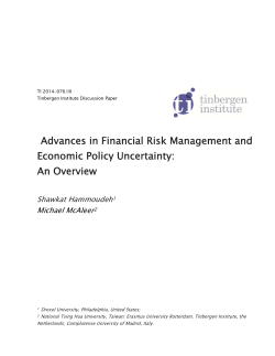Advances in Financial Risk Management and Economic Policy