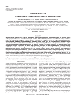 Knowledgeable individuals lead collective decisions in ants