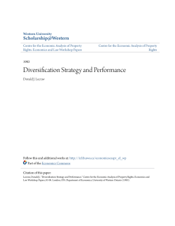 Diversification Strategy and Performance