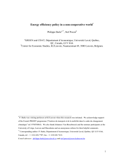 Energy efficiency policy in a non-cooperative world