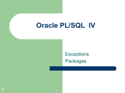 Oracle PL/SQL